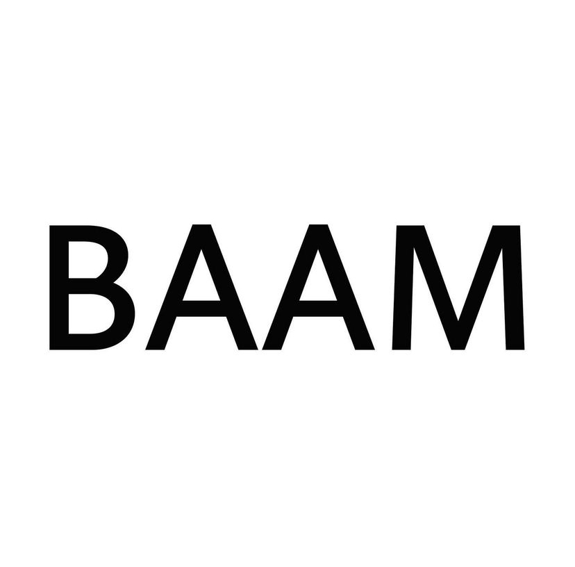 Berlin Academy of American Music Logo