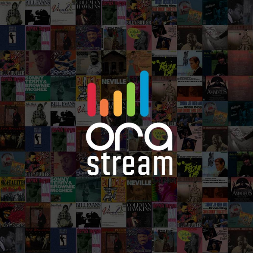 OraStream Private Limited Logo